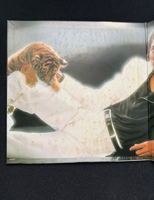 MICHAEL JACKSON — Thriller Japan Master Sound · DM Digital Mastering · Epic 30·3P-431