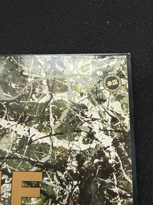 THE STONE ROSES — The Stone Roses 1989 First Pressing (SNA) · Silvertone ORE LP 502 · Japanese Victor Import Issue