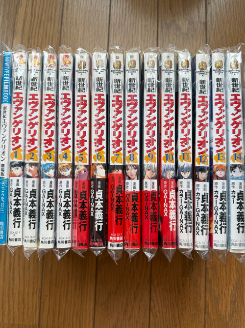 Neon Genesis Evangelion — Complete 14-Volume Set｜Yoshiyuki Sadamoto, Original Japanese First-Edition-Heavy Set (Kadokawa Comics Ace)